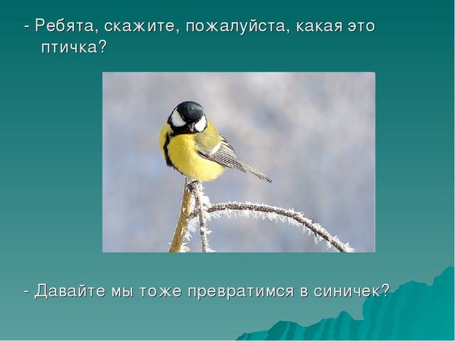 Презентация по познавательно-речевому развитию «Зимующие птицы. Путешествие в зимний лес».