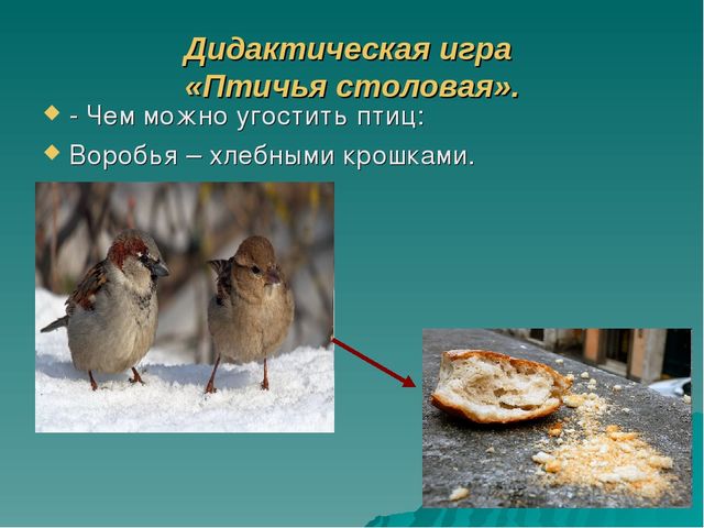 Презентация по познавательно-речевому развитию «Зимующие птицы. Путешествие в зимний лес».