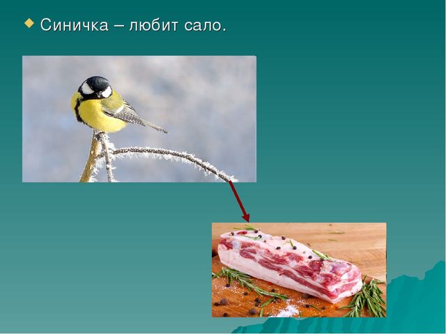 Презентация по познавательно-речевому развитию «Зимующие птицы. Путешествие в зимний лес».