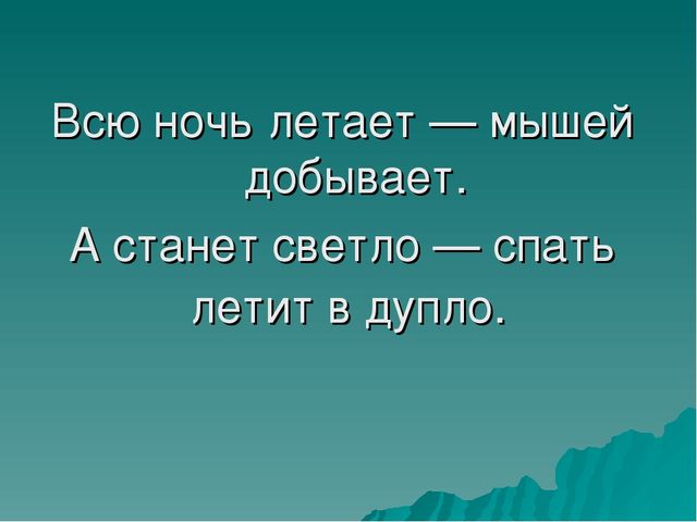 Презентация по познавательно-речевому развитию «Зимующие птицы. Путешествие в зимний лес».