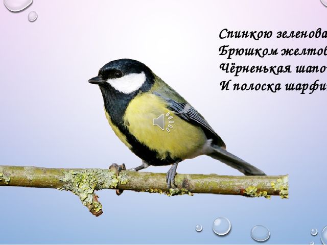 Интерактивная презентация "Синичкин день"