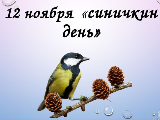 Интерактивная презентация "Синичкин день"