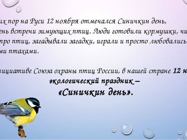 Интерактивная презентация "Синичкин день"