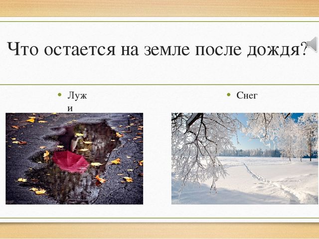 Презентация "Осень и ее чудеса"