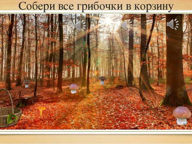 Презентация "Осень и ее чудеса"