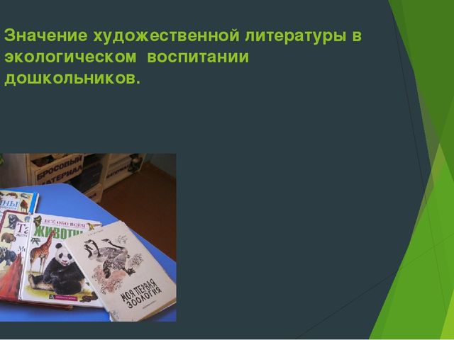 Разработка и реализация социально-значимого проекта в средней группе "Значение художественной литературы в экологическом воспитании дошкольников"