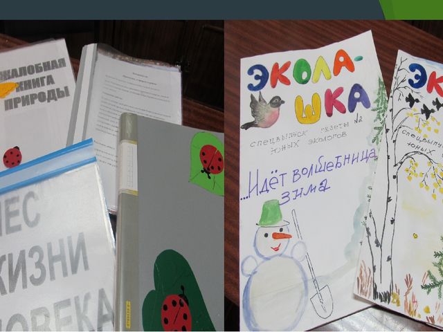 Разработка и реализация социально-значимого проекта в средней группе "Значение художественной литературы в экологическом воспитании дошкольников"