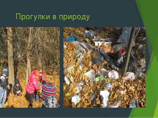 Разработка и реализация социально-значимого проекта в средней группе "Значение художественной литературы в экологическом воспитании дошкольников"
