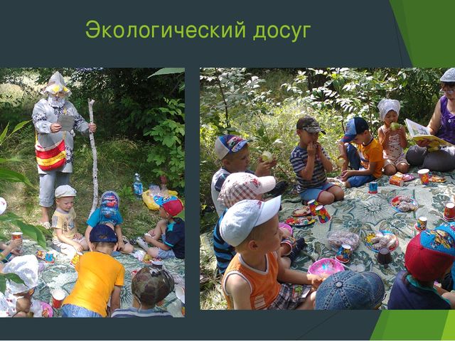 Разработка и реализация социально-значимого проекта в средней группе "Значение художественной литературы в экологическом воспитании дошкольников"