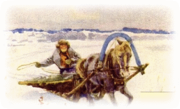 Picture 24