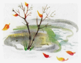 Picture 30