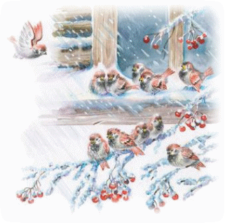 Picture 27