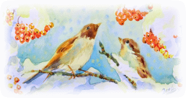 Picture 7
