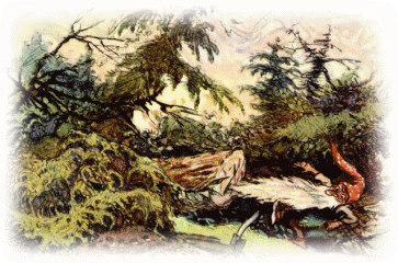 Picture 8