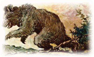 Picture 14