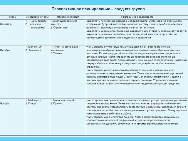 Проект в старшей группе по легоконструированию
