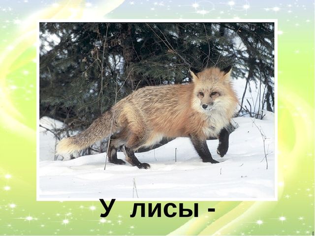 Презентация "У кого кто?"