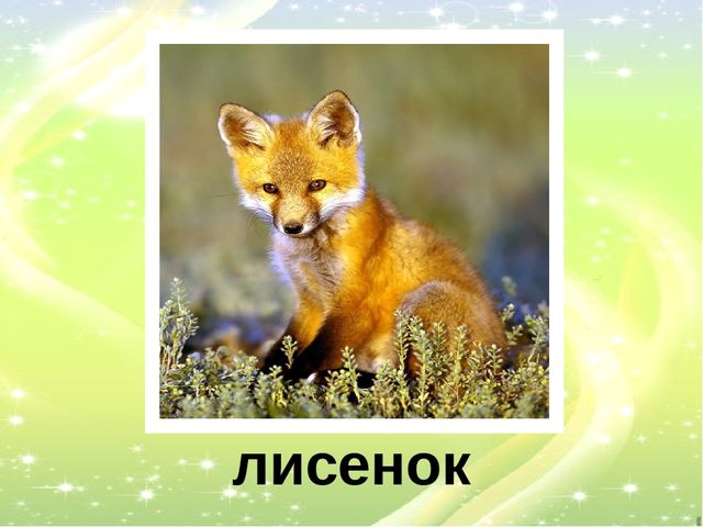 Презентация "У кого кто?"