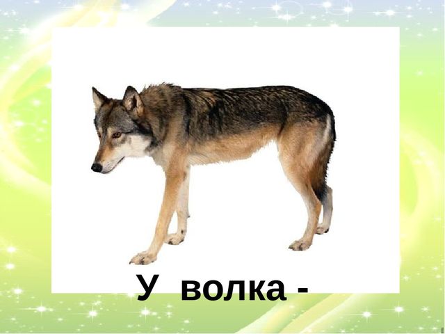 Презентация "У кого кто?"