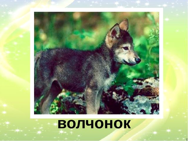 Презентация "У кого кто?"