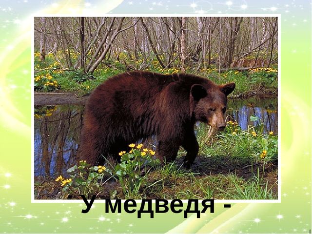 Презентация "У кого кто?"