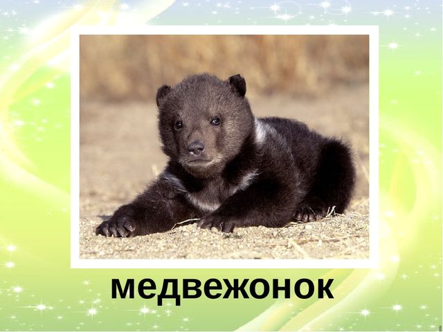 Презентация "У кого кто?"