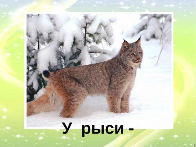 Презентация "У кого кто?"
