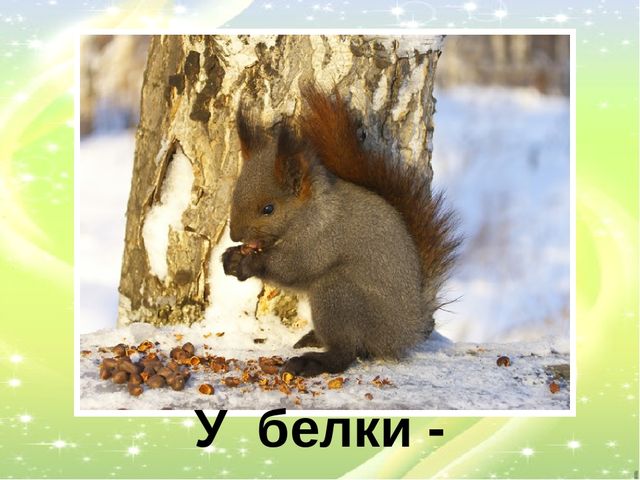 Презентация "У кого кто?"