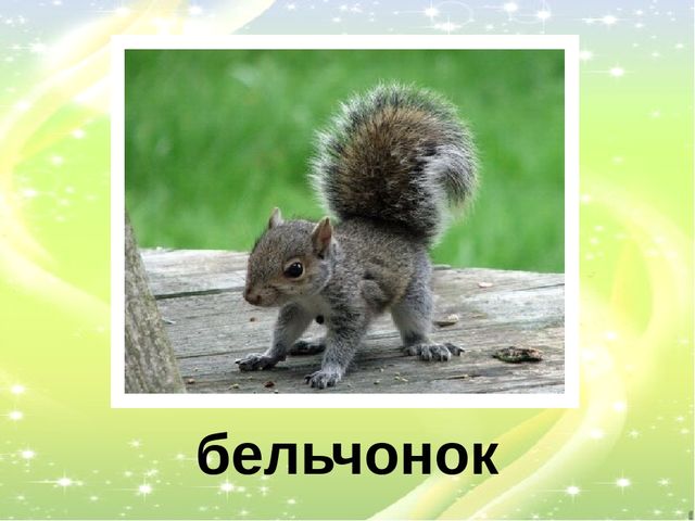 Презентация "У кого кто?"