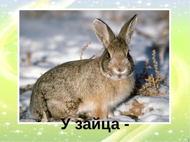 Презентация "У кого кто?"