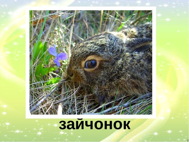 Презентация "У кого кто?"
