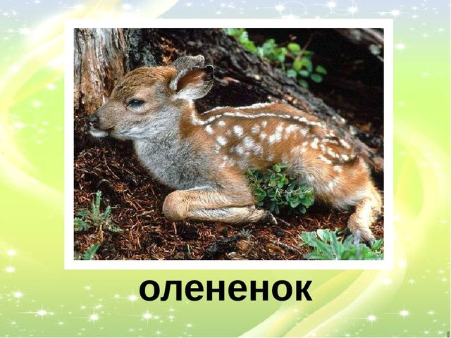 Презентация "У кого кто?"