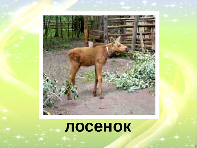 Презентация "У кого кто?"
