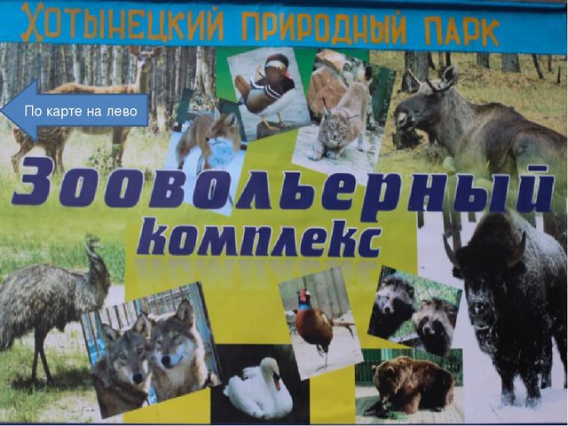 Презентация к конспекту занятия "Путешествие в Орловское полесье"