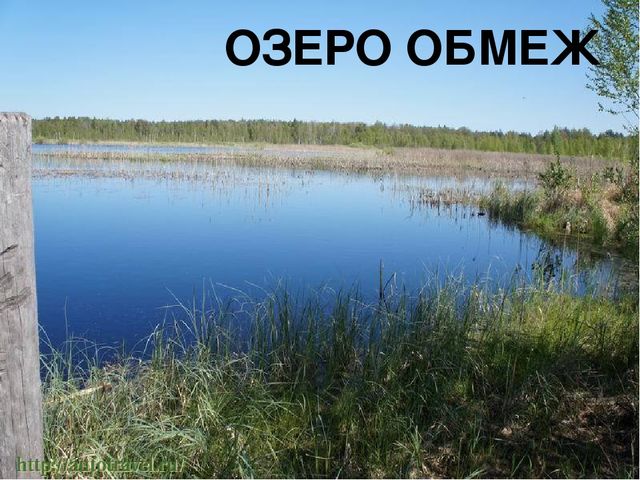 Презентация к конспекту занятия "Путешествие в Орловское полесье"