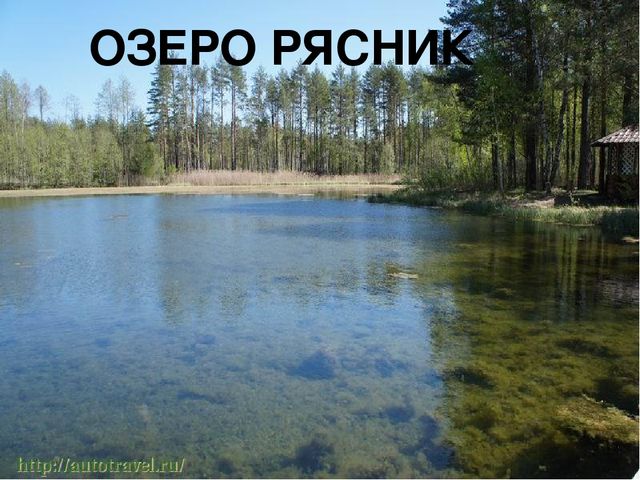 Презентация к конспекту занятия "Путешествие в Орловское полесье"