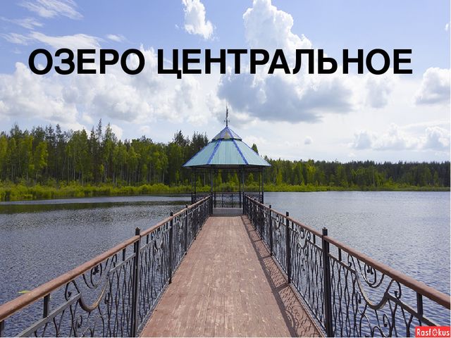 Презентация к конспекту занятия "Путешествие в Орловское полесье"