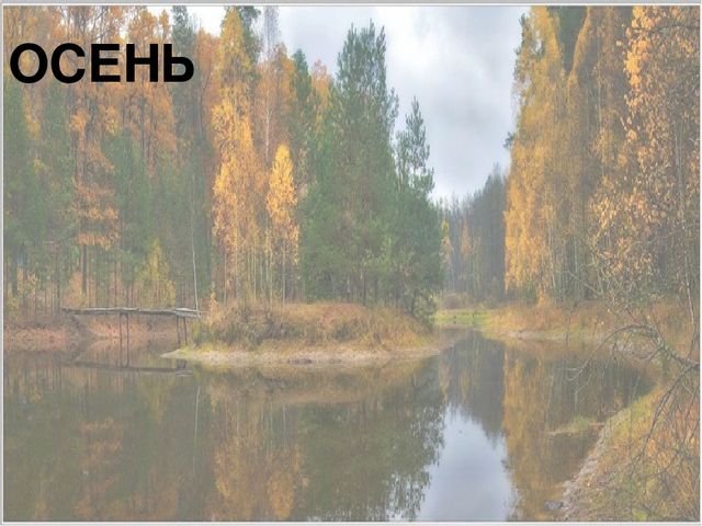 Презентация к конспекту занятия "Путешествие в Орловское полесье"