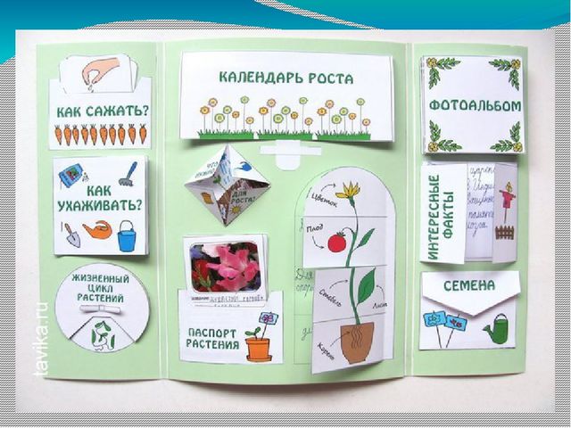 Презентация на тему что представляет собой "Лэпбук"