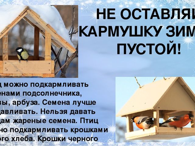 Презентация по ознакомлению с окружающим миром природы на тему "зимующие птицы"