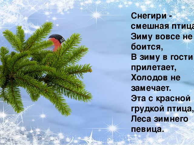 Презентация по ознакомлению с окружающим миром природы на тему "зимующие птицы"