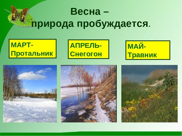 Презентация на тему "Весна пробуждение природы"