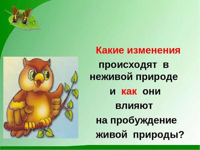 Презентация на тему "Весна пробуждение природы"