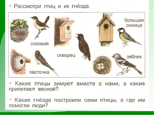 Презентация на тему "Весна пробуждение природы"