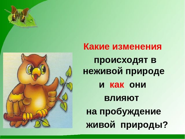 Презентация на тему "Весна пробуждение природы"