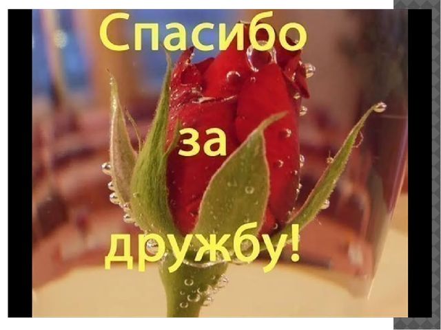 Презентация на тему "Что такое дружба"