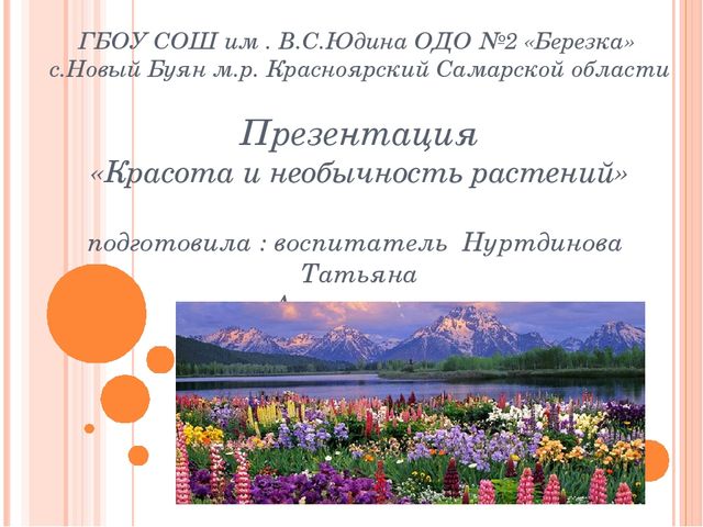Презентация к занятию "Знакомство с растительным миром"