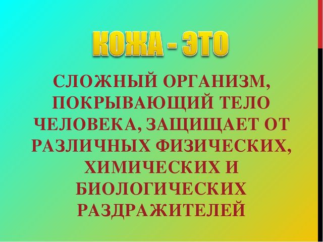 Презентация по социально-бытовой ориентировке "Уход за кожей лица"