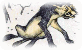 Picture 67