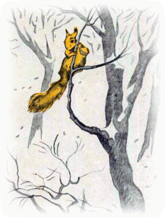 Picture 68